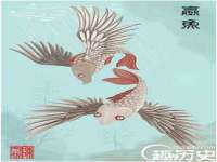 苏州菁若繁花贸易有限公司