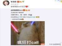 苏州菁若繁花贸易有限公司