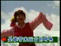 苏州菁若繁花贸易有限公司