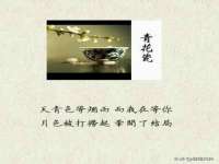 苏州菁若繁花贸易有限公司