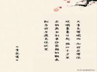 苏州菁若繁花贸易有限公司