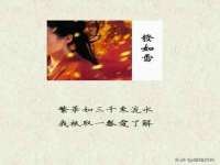 苏州菁若繁花贸易有限公司