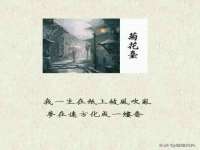 苏州菁若繁花贸易有限公司