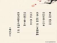 苏州菁若繁花贸易有限公司