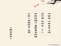 苏州菁若繁花贸易有限公司
