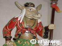 苏州菁若繁花贸易有限公司