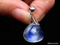 苏州菁若繁花贸易有限公司