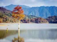 苏州菁若繁花贸易有限公司