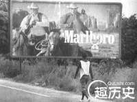 苏州菁若繁花贸易有限公司