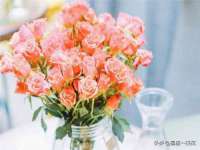 苏州菁若繁花贸易有限公司