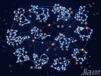 苏州菁若繁花贸易有限公司