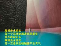 苏州菁若繁花贸易有限公司