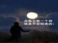 苏州菁若繁花贸易有限公司