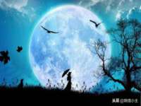 苏州菁若繁花贸易有限公司