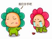 苏州菁若繁花贸易有限公司