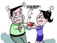 苏州菁若繁花贸易有限公司