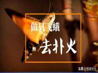 苏州菁若繁花贸易有限公司