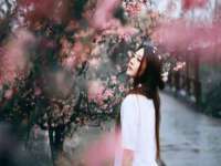 苏州菁若繁花贸易有限公司