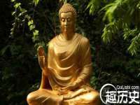 苏州菁若繁花贸易有限公司